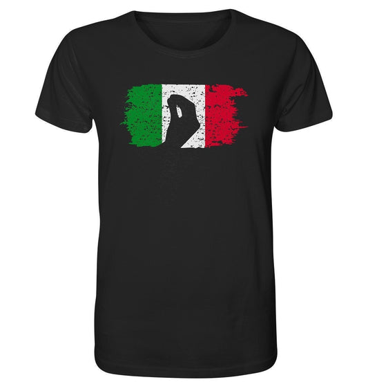 Italien Geste Flagge Capisci Premium T-Shirt Italiener Hand